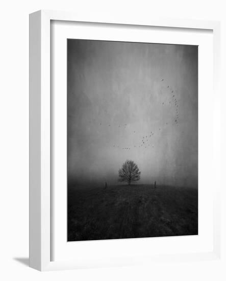 Passing the Tree-Peter Polter-Framed Photographic Print