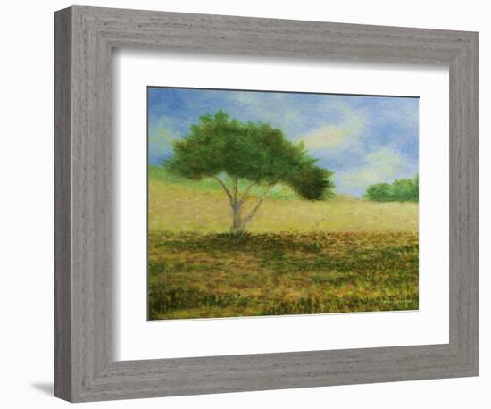 Passing Through-Herb Dickinson-Framed Photographic Print