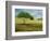 Passing Through-Herb Dickinson-Framed Photographic Print