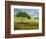 Passing Through-Herb Dickinson-Framed Photographic Print