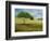 Passing Through-Herb Dickinson-Framed Photographic Print