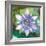 Passion Flower II-Jenny McGee-Framed Premium Giclee Print