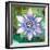 Passion Flower II-Jenny McGee-Framed Premium Giclee Print