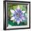 Passion Flower II-Jenny McGee-Framed Premium Giclee Print