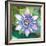 Passion Flower II-Jenny McGee-Framed Premium Giclee Print