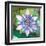 Passion Flower II-Jenny McGee-Framed Art Print