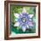 Passion Flower II-Jenny McGee-Framed Art Print