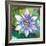 Passion Flower II-Jenny McGee-Framed Art Print