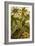 Passion Flower with Insects-F.W. Kuhnert-Framed Art Print