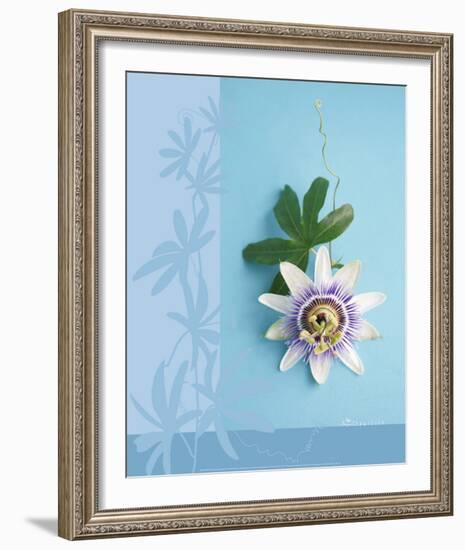 Passion Flower-Amelie Vuillon-Framed Art Print