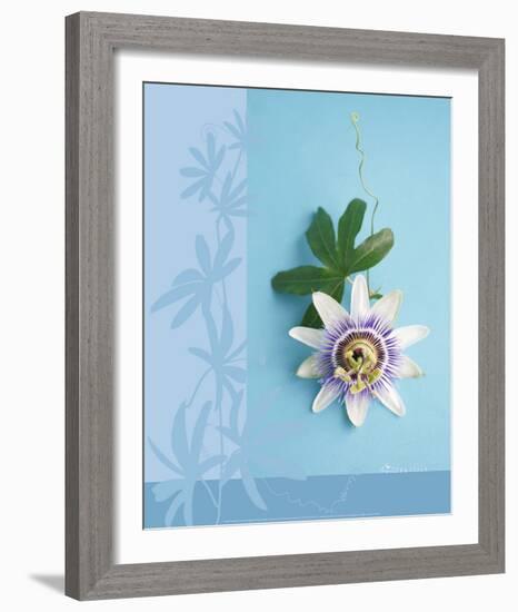 Passion Flower-Amelie Vuillon-Framed Art Print