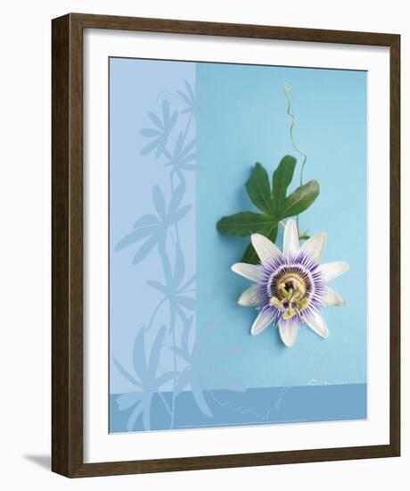 Passion Flower-Amelie Vuillon-Framed Art Print