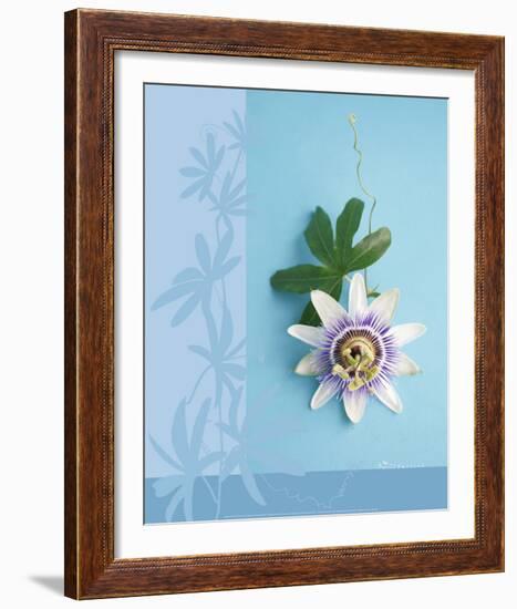 Passion Flower-Amelie Vuillon-Framed Art Print