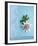 Passion Flower-Amelie Vuillon-Framed Art Print