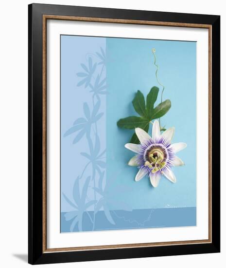 Passion Flower-Amelie Vuillon-Framed Art Print