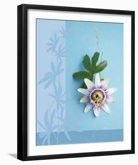 Passion Flower-Amelie Vuillon-Framed Art Print