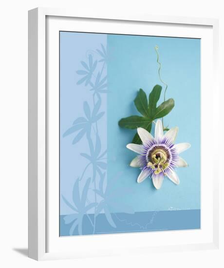 Passion Flower-Amelie Vuillon-Framed Art Print