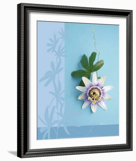 Passion Flower-Amelie Vuillon-Framed Art Print