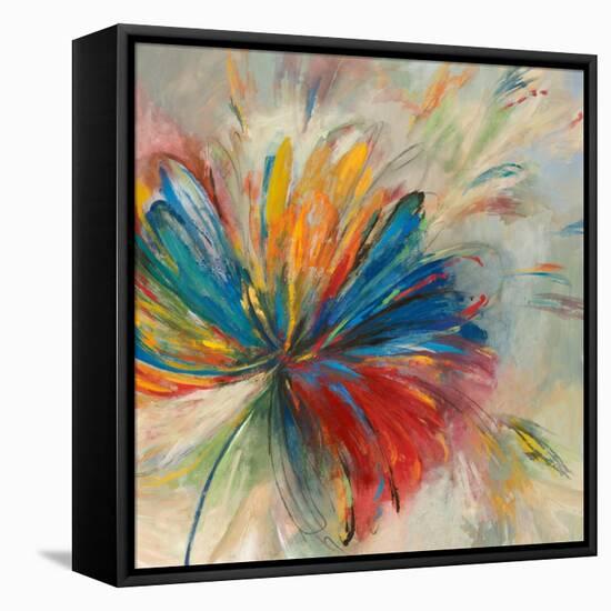 Passion Flower-Anna Polanski-Framed Stretched Canvas