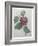 Passion Flower-Pierre-Joseph Redoute-Framed Art Print