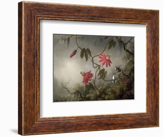 Passion Flowers and Hummingbirds, about 1870-83-Martin Johnson Heade-Framed Art Print