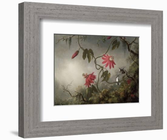 Passion Flowers and Hummingbirds, about 1870-83-Martin Johnson Heade-Framed Art Print