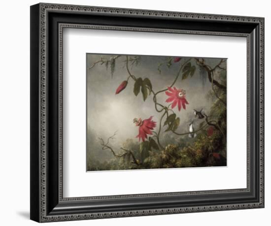 Passion Flowers and Hummingbirds, about 1870-83-Martin Johnson Heade-Framed Art Print