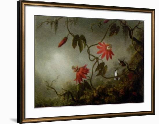 Passion Flowers and Hummingbirds-Martin Johnson Heade-Framed Art Print