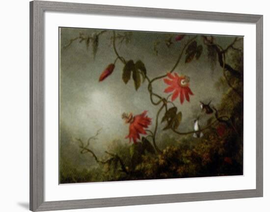 Passion Flowers and Hummingbirds-Martin Johnson Heade-Framed Art Print