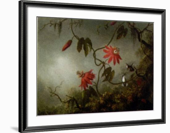 Passion Flowers and Hummingbirds-Martin Johnson Heade-Framed Art Print