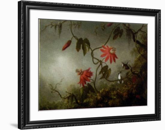 Passion Flowers and Hummingbirds-Martin Johnson Heade-Framed Art Print