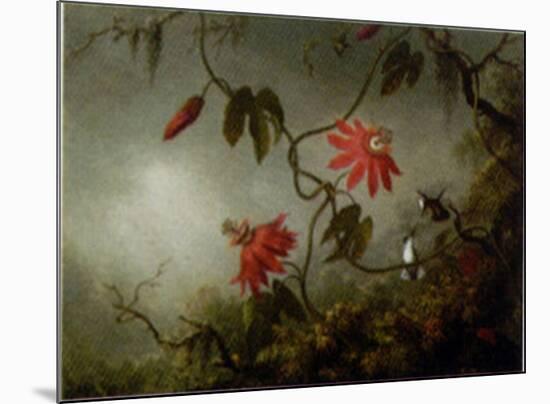 Passion Flowers and Hummingbirds-Martin Johnson Heade-Mounted Art Print