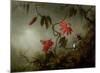 Passion Flowers and Hummingbirds-Martin Johnson Heade-Mounted Art Print