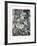 Passion Flowers-Robert John Thornton-Framed Giclee Print