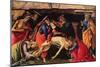 Passion of Christ-Sandro Botticelli-Mounted Art Print
