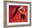 Passion of Dance-Joani-Framed Art Print