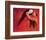 Passion of Dance-Joani-Framed Art Print