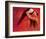 Passion of Dance-Joani-Framed Art Print