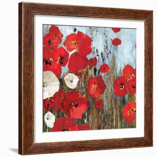 Passion Poppies I-Andrew Michaels-Framed Art Print