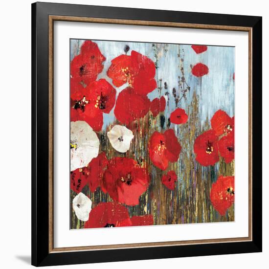 Passion Poppies I-Andrew Michaels-Framed Art Print