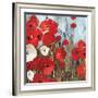 Passion Poppies I-Andrew Michaels-Framed Art Print