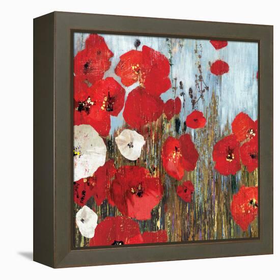 Passion Poppies I-Andrew Michaels-Framed Stretched Canvas