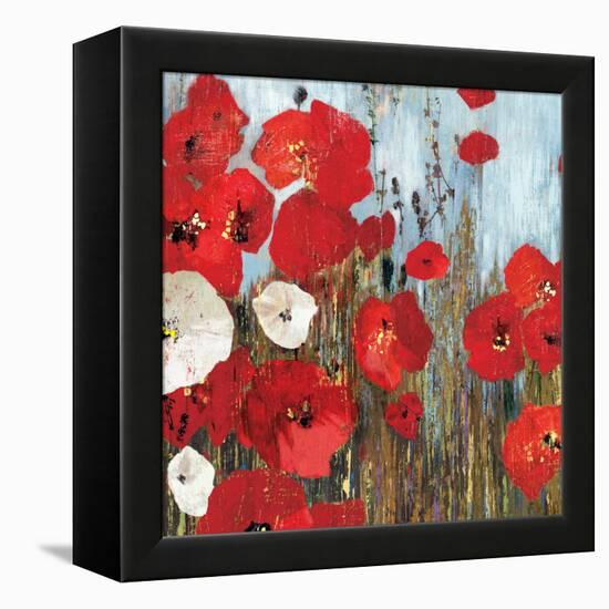 Passion Poppies I-Andrew Michaels-Framed Stretched Canvas