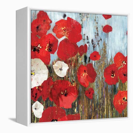 Passion Poppies I-Andrew Michaels-Framed Stretched Canvas