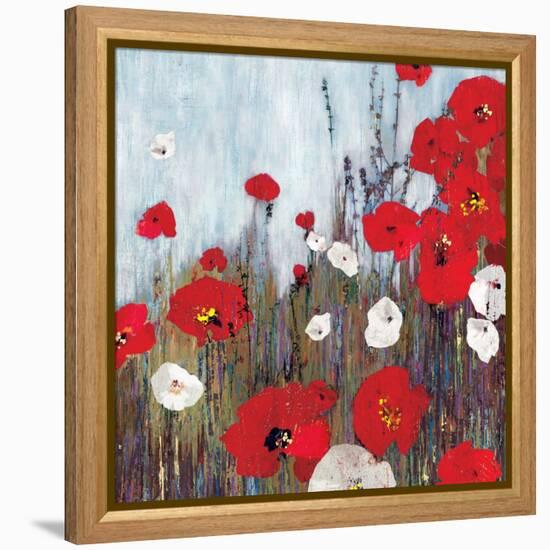 Passion Poppies II-Andrew Michaels-Framed Stretched Canvas