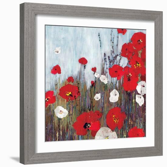 Passion Poppies II-Andrew Michaels-Framed Art Print