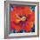 Passion Poppy-Marion Rose-Framed Giclee Print