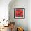 Passion Poppy-Marion Rose-Framed Giclee Print displayed on a wall