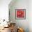 Passion Poppy-Marion Rose-Framed Giclee Print displayed on a wall