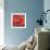 Passion Poppy-Marion Rose-Framed Giclee Print displayed on a wall